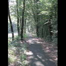 Auf der deutschen Seite wurde es hügeliger